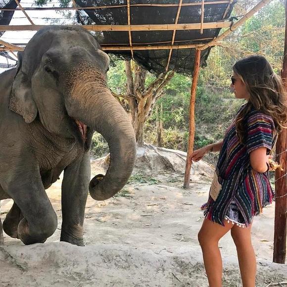 Meet your Posher, Janine - Picture 1 of 1